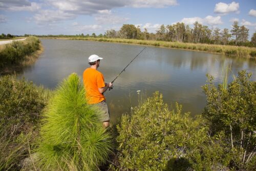 Palm Beach Heights, Florida - Image 15