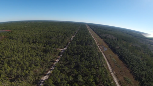 Flagler County, Florida - Image 8