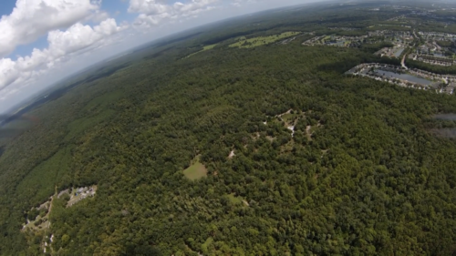 LAND O LAKES, FLORIDA - Image 13