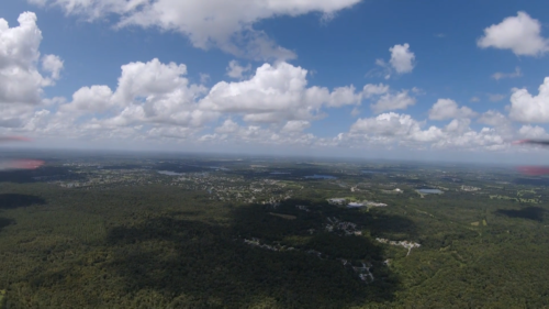 LAND O LAKES, FLORIDA - Image 10