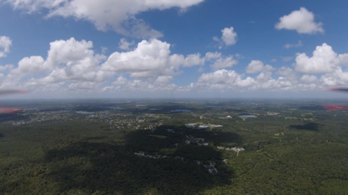 LAND O LAKES, FLORIDA - Image 8