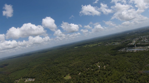 LAND O LAKES, FLORIDA - Image 27