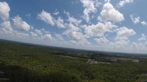 LAND O LAKES, FLORIDA - Image 12