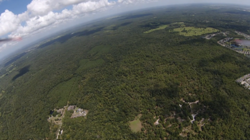 LAND O LAKES, FLORIDA - Image 6