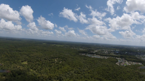 LAND O LAKES, FLORIDA - Image 2