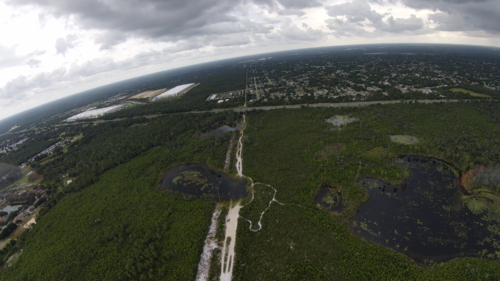 ORANGE CITY, FLORIDA - Image 5