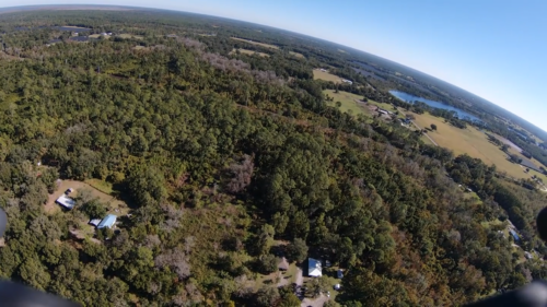 SEVILLE, FLORIDA - Image 17